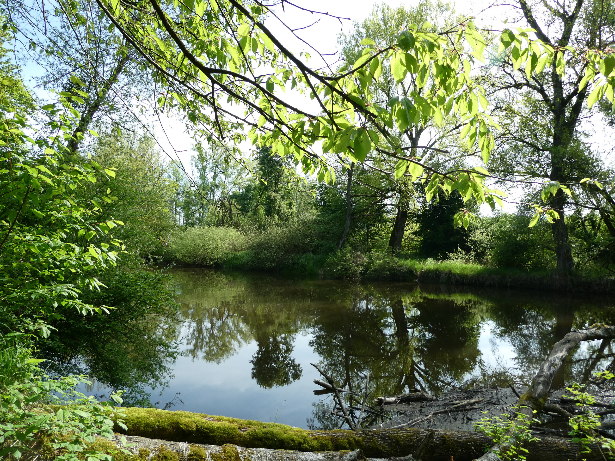 20230507094325 P1000228